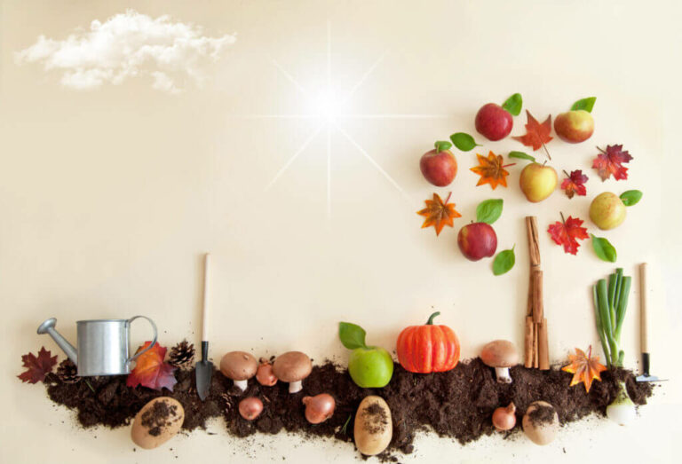 AdobeStock_223715961-1024×697